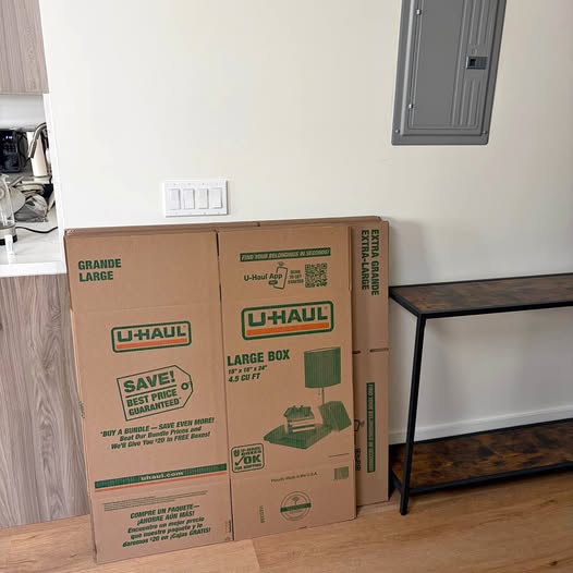 Free new boxes!!! Pickup today in Nopa!